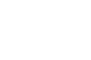 Eureka Forbes logo