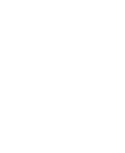 LBS Hygiene logo