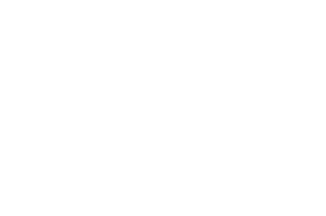 BigID logo