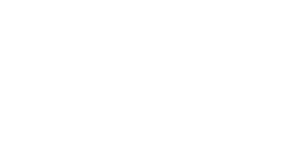 Skyone white logo