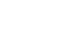 anthropic
